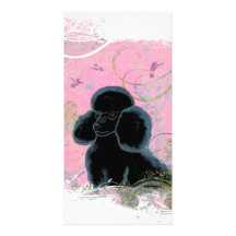 Portrait noir de caniche avec le carte photo de co modèle pour photocarte