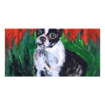 Portrait of a Boston Terrier Photo Card Template