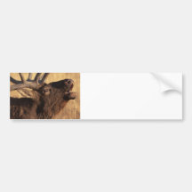 Portrait of a Bugler Bumper Stickers