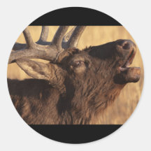 Portrait of a Bugler Round Sticker