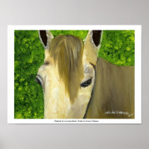 "Portrait of a Curious Horse" Poster by M Williams