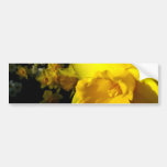 Portrait of a Daffodil Bumper Sticker