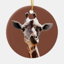 Portrait of a Giraffe Christmas Ornaments