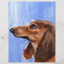 Portrait of a red dachshund flyer