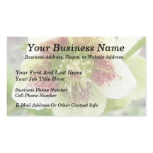 Portrait Of A Spring Hellebore Flower Business Card
