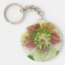Portrait Of A Spring Hellebore Flower Keychains