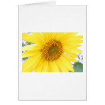 Portrait of a Sunflower Card