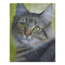 Portrait Of A Tabby Announcement