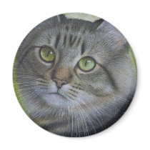 Portrait Of A Tabby Refrigerator Magnet