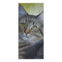 Portrait Of A Tabby Rack Cards