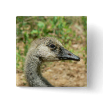 Portrait of a Teenage Canada Goose Pin