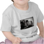 Portrait of an Angus t-shirts