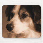 Portrait of an Aussie Mouse Pads