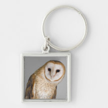 Portrait of barn owl (Tyto alba). Key Chains
