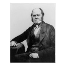 Portrait of Charles Darwin, 1854 Postcards
