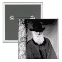 Portrait of Charles Darwin  1881 buttons