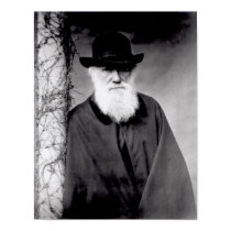 Portrait of Charles Darwin  1881 posters