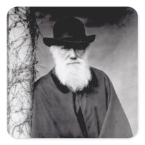 Portrait of Charles Darwin  1881 stickers