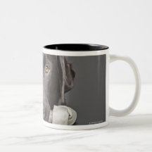 Portrait of chocolate labrador mugs