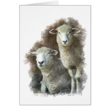 Portrait of Sheep Cards
