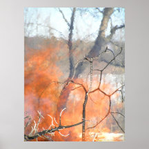 Portrait of the Fire Elementals at Play Posters