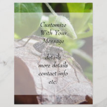 Portrait - Young Spider Full Color Flyer