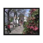 (Portugal) Funchal, Madeira Postcard