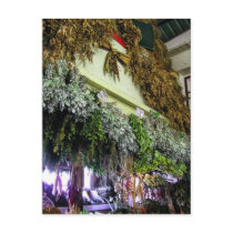 (Portugal) in Funchal Market Postcard