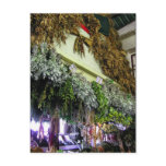 (Portugal) in Funchal Market Postcard