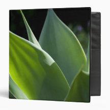 Portugal, Madeira Island, Funchal. Botanical Binders