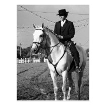 Portuguese horse rider postcards