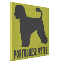 Portuguese Water Dog Canvas Print