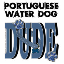 Portuguese Water Dog DUDE