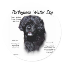 Portuguese Water Dog History Design