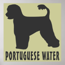 Portuguese Water Dog Posters