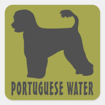 Portuguese Water Dog Square Stickers