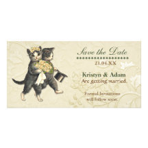 Posh Cats Wedding Photo Cards