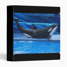 Posing Orca Binder