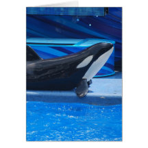 Posing Orca Greeting Card
