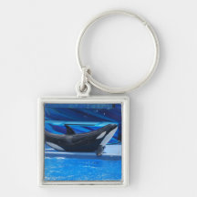 Posing Orca Keychain