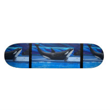 Posing Orca Skateboard