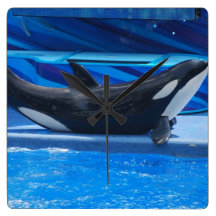 Posing Orca Wall Clock