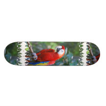 Posing Parrot Skateboard