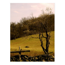 POST CARD Appalachian Trail