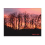 post card