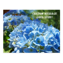 Post Cards Nature Custom Business Hydrangeas