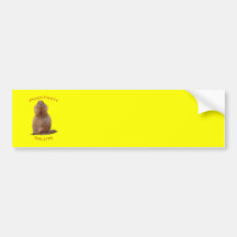 Post-Party Salute Bumper Sticker