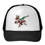 Postal Shivae Mesh Hats