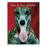 POSTCARD ~ APPOINTMENT TIME VETERINARIAN REMINDER