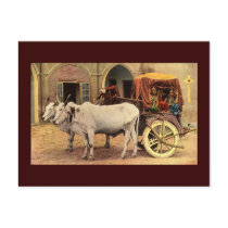 Postcard- Awesome India Village